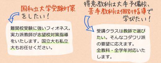 フィオネスはこんな高校生にオススメです