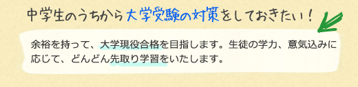 フィオネスはこんな中学生にオススメです